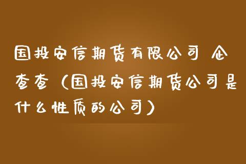 国投安信期货有限公司 企查查（国投安信期货公司是什么性质的公司）