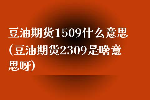 豆油期货1509什么意思(豆油期货2309是啥意思呀)