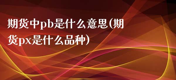 期货中pb是什么意思(期货px是什么品种)_https://www.boyangwujin.com_黄金直播间_第1张