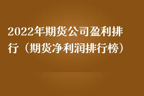 2022年期货公司盈利排行（期货净利润排行榜）