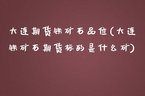 大连期货铁矿石品位(大连铁矿石期货标的是什么矿)