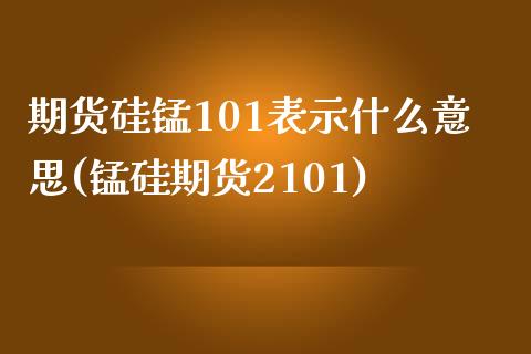 期货硅锰101表示什么意思(锰硅期货2101)