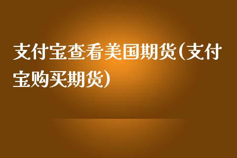 支付宝查看美国期货(支付宝购买期货)