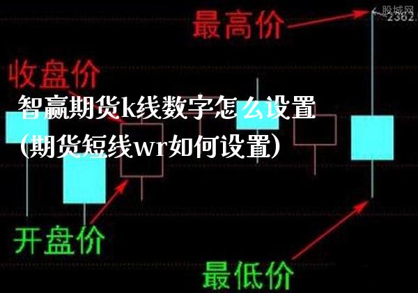 智赢期货k线数字怎么设置(期货短线wr如何设置)