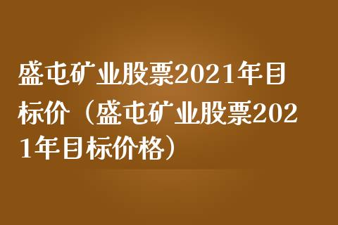 盛屯矿业股票2021年目标价（盛屯矿业股票2021年目标价格）