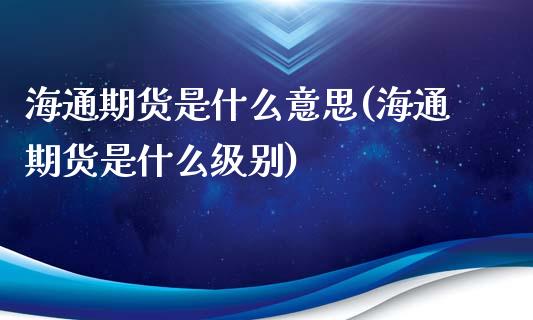 海通期货是什么意思(海通期货是什么级别)_https://www.boyangwujin.com_黄金期货_第1张