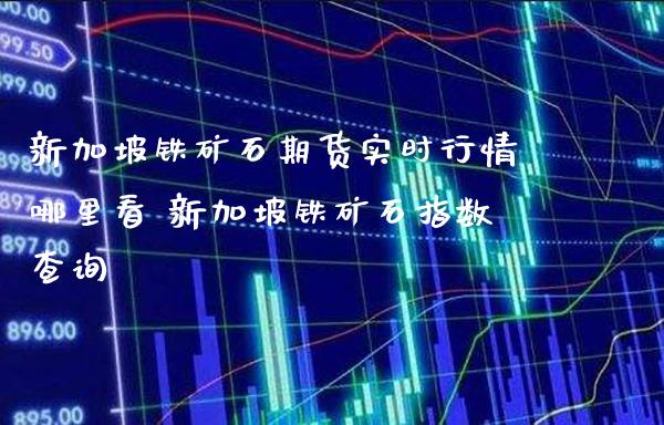 新加坡铁矿石期货实时行情哪里看 新加坡铁矿石指数查询