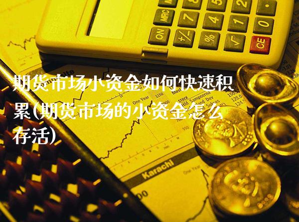 期货市场小资金如何快速积累(期货市场的小资金怎么存活)_https://www.boyangwujin.com_期货科普_第1张