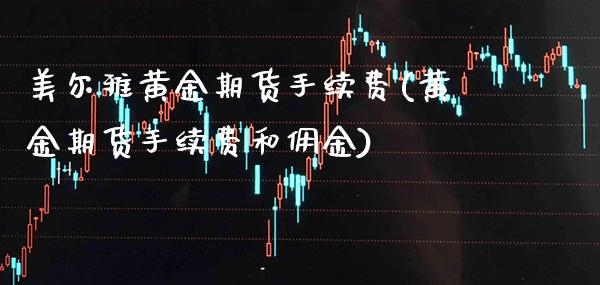 美尔雅黄金期货手续费(黄金期货手续费和佣金)_https://www.boyangwujin.com_纳指期货_第1张