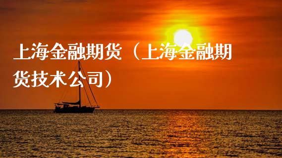 上海金融期货（上海金融期货技术公司）