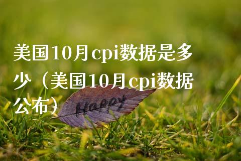 美国10月cpi数据是多少（美国10月cpi数据公布）