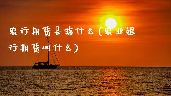 农行期货是指什么(农业银行期货叫什么)_https://www.boyangwujin.com_恒指直播间_第1张