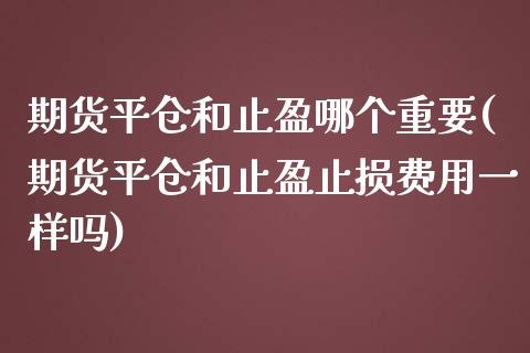 期货平仓和止盈哪个重要(期货平仓和止盈止损费用一样吗)