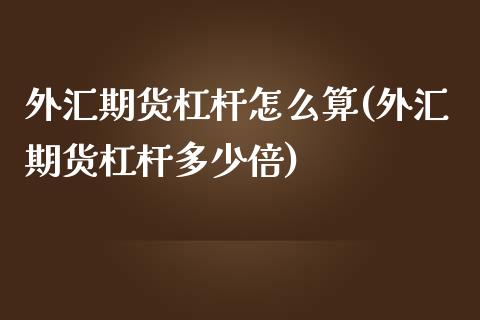 外汇期货杠杆怎么算(外汇期货杠杆多少倍)