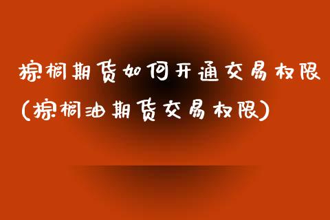 棕榈期货如何开通交易权限(棕榈油期货交易权限)