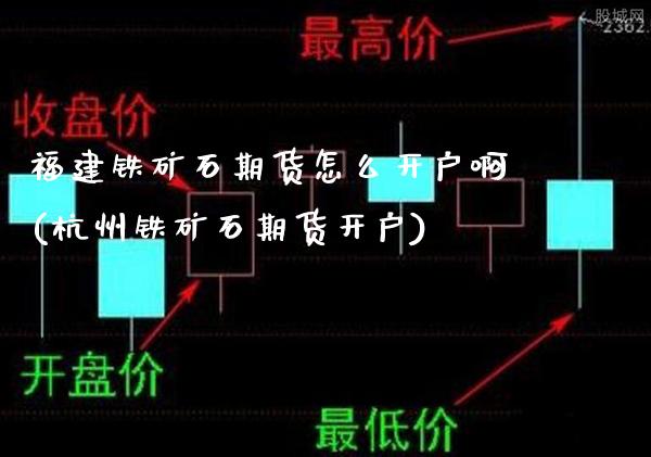 福建铁矿石期货怎么开户啊(杭州铁矿石期货开户)