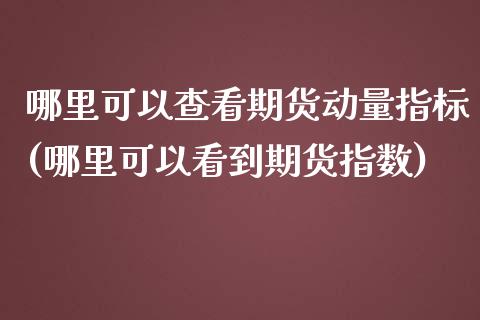 哪里可以查看期货动量指标(哪里可以看到期货指数)