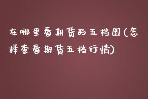 在哪里看期货的五档图(怎样查看期货五档行情)_https://www.boyangwujin.com_期货科普_第1张