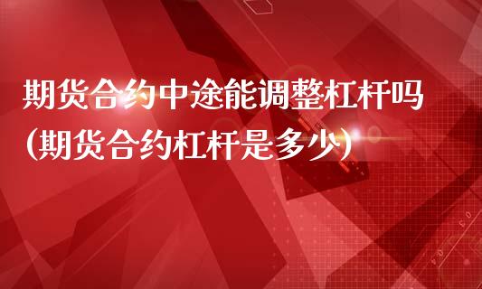 期货合约中途能调整杠杆吗(期货合约杠杆是多少)_https://www.boyangwujin.com_白银期货_第1张