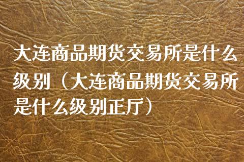 大连商品期货交易所是什么级别（大连商品期货交易所是什么级别正厅）