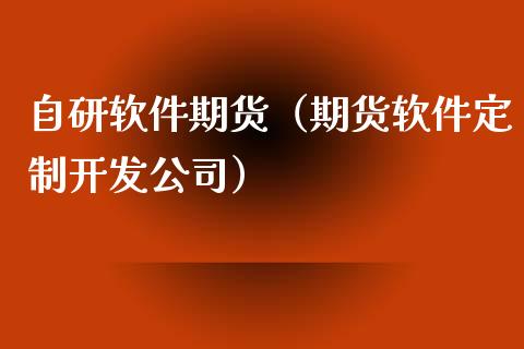 自研软件期货（期货软件定制开发公司）_https://www.boyangwujin.com_纳指期货_第1张