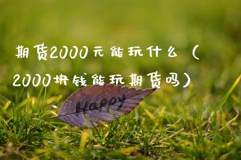 期货2000元能玩什么（2000块钱能玩期货吗）