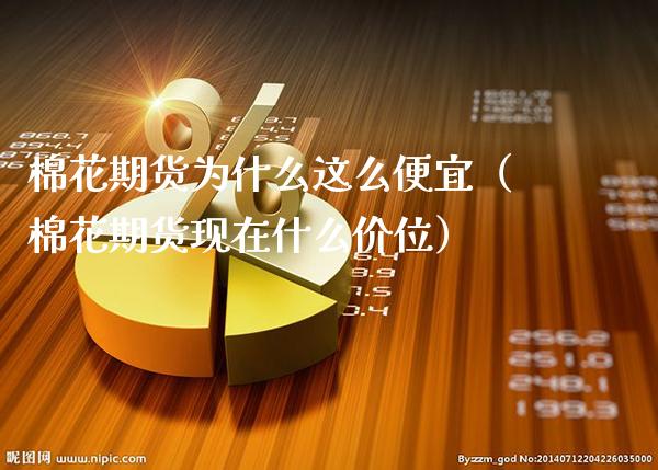 棉花期货为什么这么便宜（棉花期货现在什么价位）