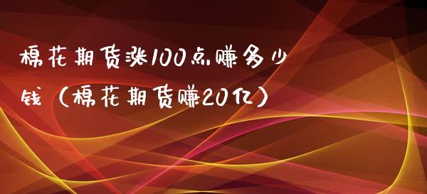 棉花期货涨100点赚多少钱（棉花期货赚20亿）