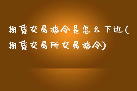 期货交易指令是怎么下达(期货交易所交易指令)_https://www.boyangwujin.com_恒指直播间_第1张