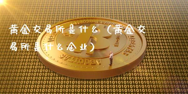 黄金交易所是什么（黄金交易所是什么企业）