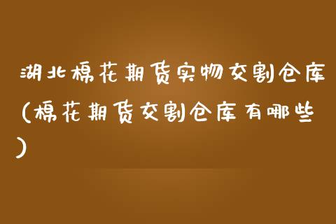 湖北棉花期货实物交割仓库(棉花期货交割仓库有哪些)_https://www.boyangwujin.com_期货直播间_第1张