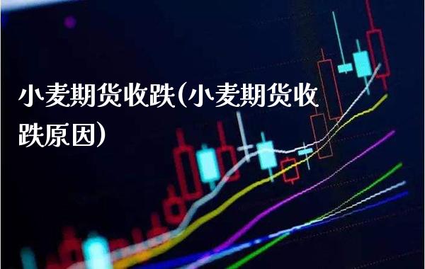 小麦期货收跌(小麦期货收跌原因)_https://www.boyangwujin.com_期货直播间_第1张