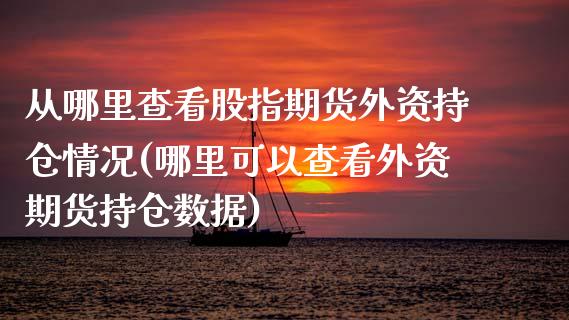 从哪里查看股指期货外资持仓情况(哪里可以查看外资期货持仓数据)