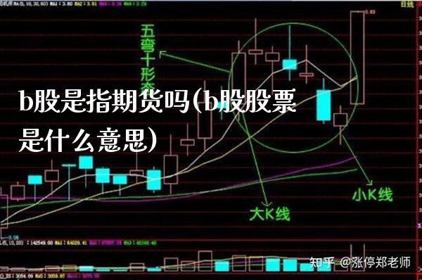 b股是指期货吗(b股股票是什么意思)_https://www.boyangwujin.com_期货直播间_第1张