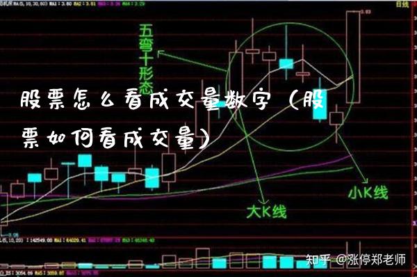 股票怎么看成交量数字（股票如何看成交量）