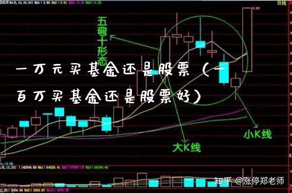 一万元买基金还是股票（一百万买基金还是股票好）_https://www.boyangwujin.com_期货直播间_第1张