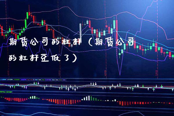 期货公司的杠杆（期货公司的杠杆豆低了）