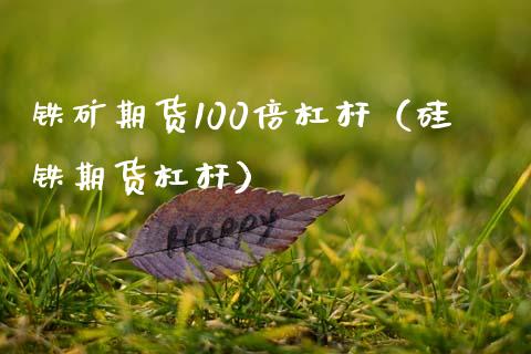 铁矿期货100倍杠杆（硅铁期货杠杆）