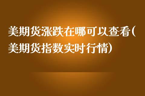 美期货涨跌在哪可以查看(美期货指数实时行情)