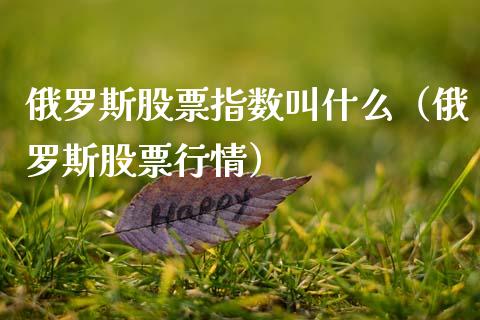 俄罗斯股票指数叫什么（俄罗斯股票行情）