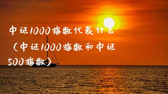 中证1000指数代表什么（中证1000指数和中证500指数）