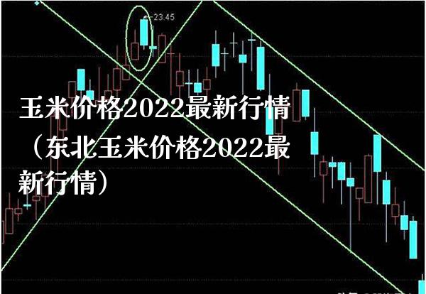 玉米价格2022最新行情（东北玉米价格2022最新行情）