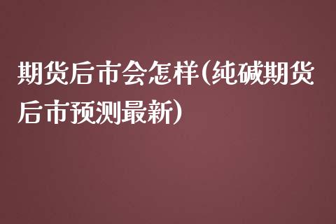 期货后市会怎样(纯碱期货后市预测最新)