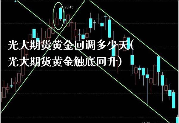 光大期货黄金回调多少天(光大期货黄金触底回升)