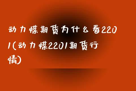 动力煤期货为什么看2201(动力煤2201期货行情)