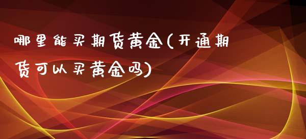 哪里能买期货黄金(开通期货可以买黄金吗)