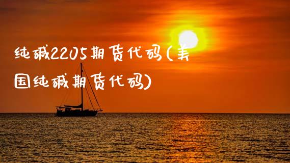 纯碱2205期货代码(美国纯碱期货代码)