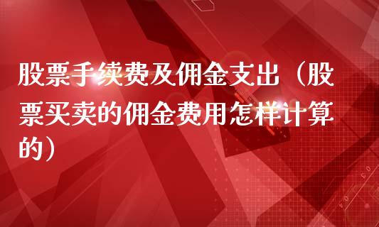 股票手续费及佣金支出（股票买卖的佣金费用怎样计算的）