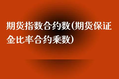 期货指数合约数(期货保证金比率合约乘数)