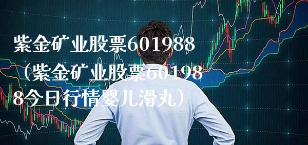 紫金矿业股票601988（紫金矿业股票601988今日行情婴儿滑丸）